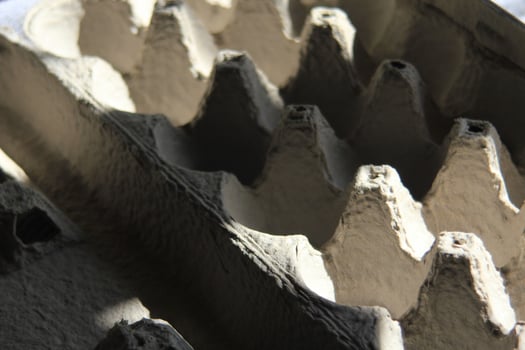 Empty egg cartons in the evening sunlight. photo