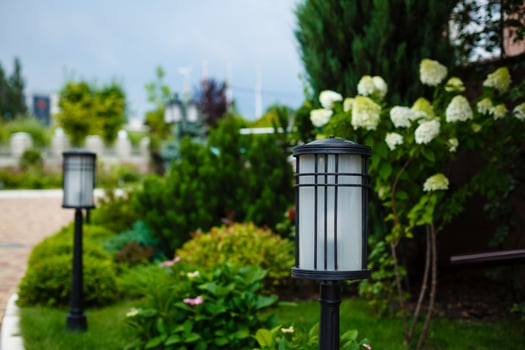 The street lamp in the park photo