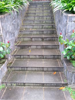 neat staircase arrangement photo