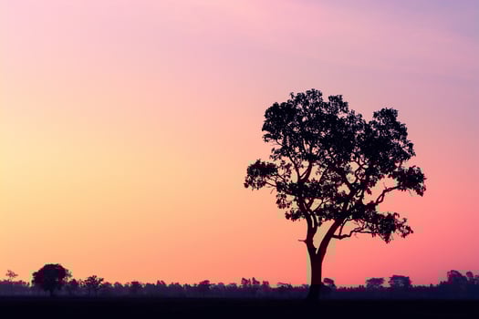 sunset landscape background photo