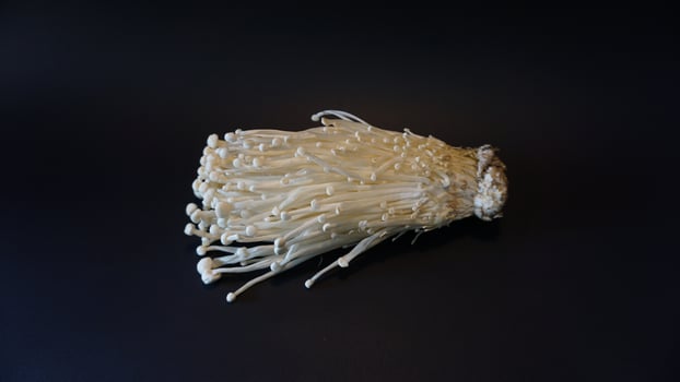 fresh enoki mushroom on black background. photo