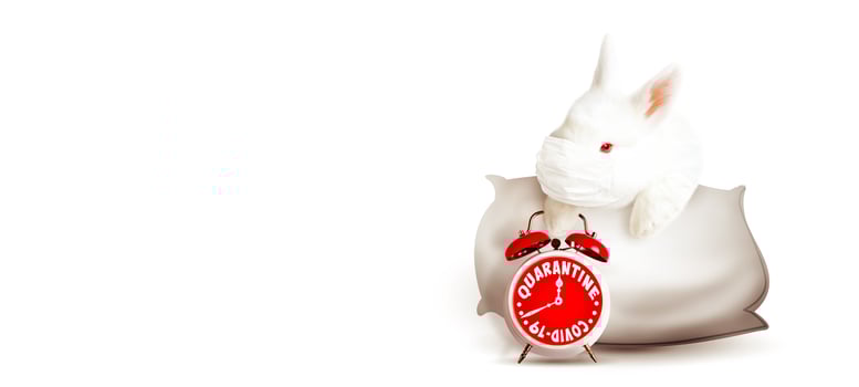 Easter rabbit with medical mask at epidemic time photo
