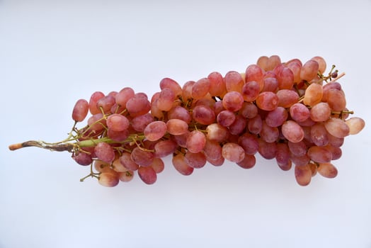 A branch of red grapes on a white background. Juicy and delicious grapes. photo