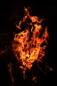 Flames of bonfire at night photo