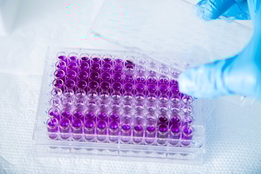 cell culture at the medicine, medical and cell culture laboratory photo