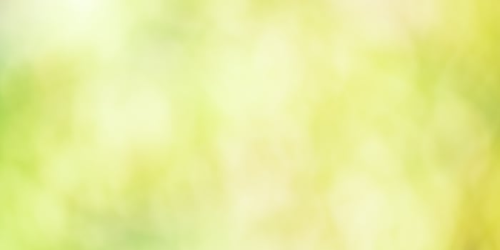 Green defocused background. Defocus light leaves on a tree. Spring summer bokeh. photo