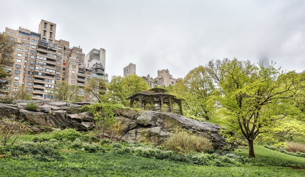 Central Park and Manhattan Skyline in NYC photo