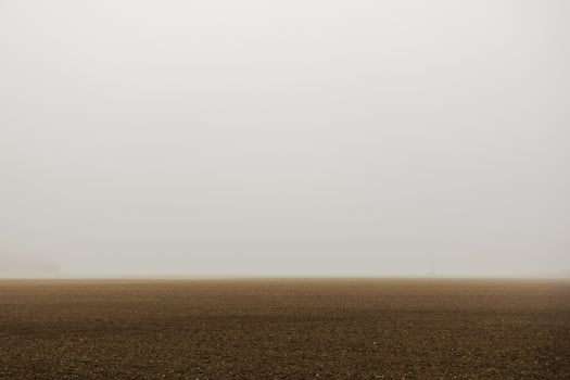 brown field with very dense fog during hiking photo
