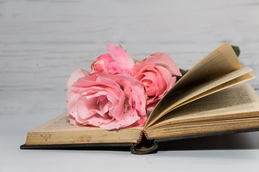pink roses and books on rustic wood photo
