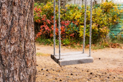 children's rope swing hanging alone and motionless under a tree, childhood, nostalgia, memories photo