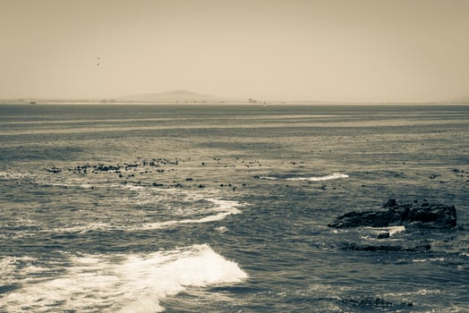 Robben Island seen from Sea Point Cape Town, South Africa. photo