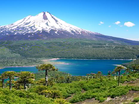 Conguillio National Park photo