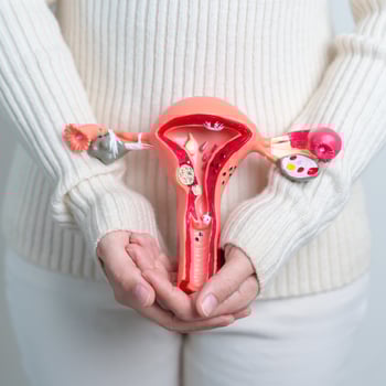 Woman holding Uterus and Ovaries model. Ovarian and Cervical cancer, Cervix disorder, Endometriosis, Hysterectomy, Uterine fibroids, Reproductive system and Pregnancy concept photo
