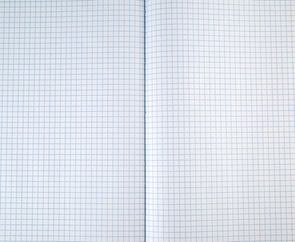 texture of an open school notebook in a cell photo