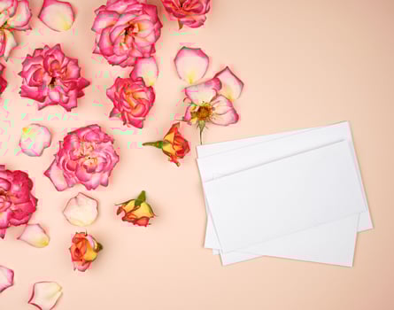 yellow rose buds and a white paper envelope on a peach background photo