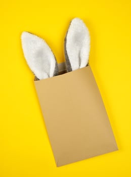 brown craft envelope with protruding bunny ears out of it photo