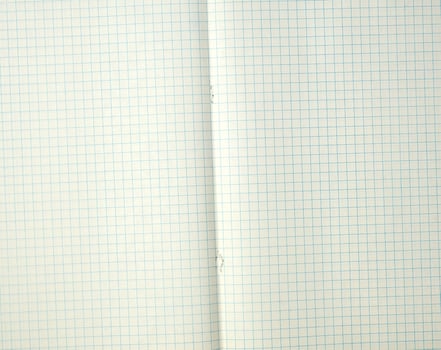 texture of an open school notebook in a cell photo
