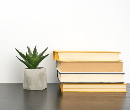 stack books on a black table and a ceramic pot with a green plant photo