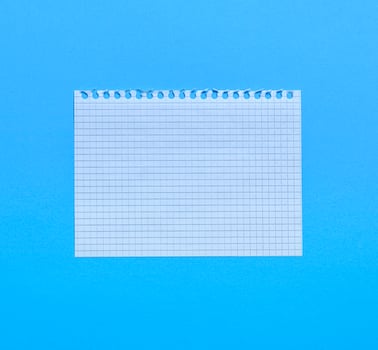 blank white sheet in a cell from a notebook photo