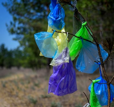 many multicolored plastic bags hanging on a pine branch photo
