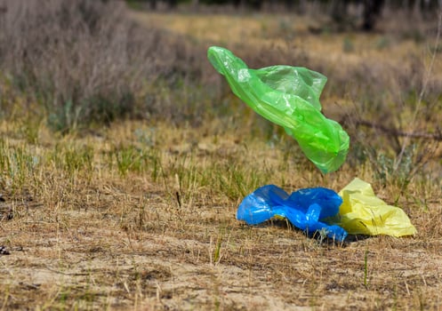 empty  garbage bag flies photo