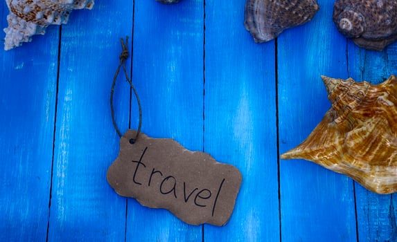 Vintage blue background with seashells photo
