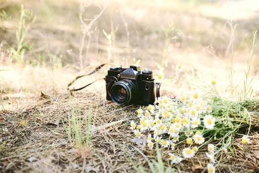 Film vintage camera and a bouquet of camomiles photo