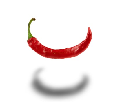 whole red hot chili pepper isolated on a white background photo
