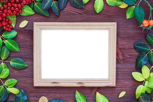 Empty picture frame around the yellow and green leaves photo