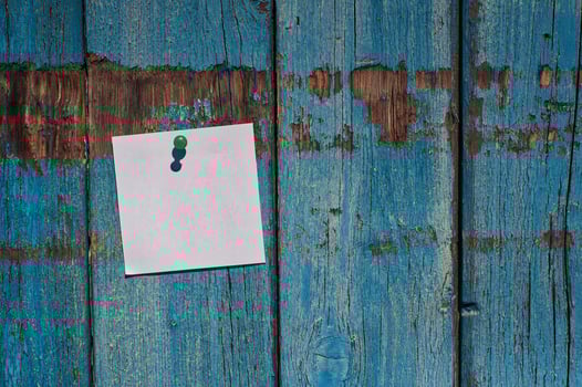 pure white small leaf on a blue wooden wall photo