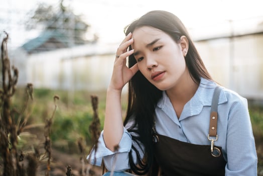 Portrait of Disappointed Asian woman marijuana researcher checking marijuana cannabis plantation in cannabis farm, Business agricultural cannabis. Cannabis business and alternative medicine concept. photo