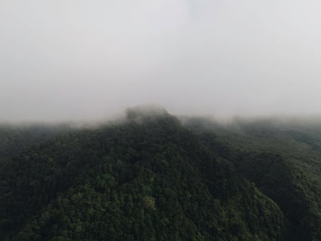 Aerial view of foggy forest landscape in Indonesia at sunrise. photo