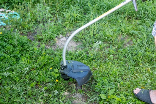 lawn mower close-up, mows the grass photo