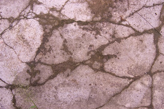 cast floor cracks photo