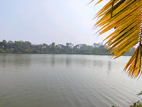 Natural Village view photo
