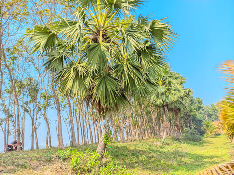 Natural Village view photo