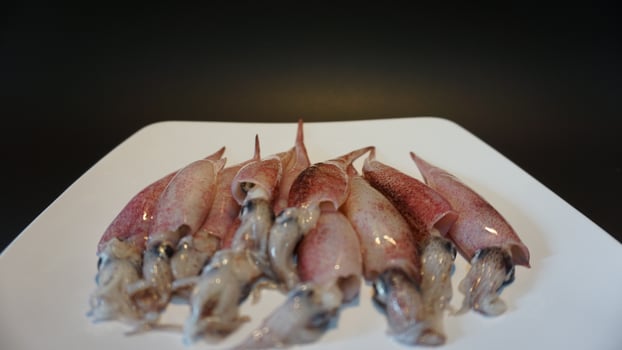 Squid with their legs cut off on a white plate photo