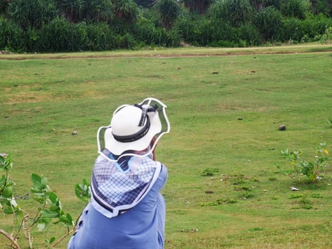 Back of the woman in the hat who was sitting and looking at the beautiful green hill mounting photo