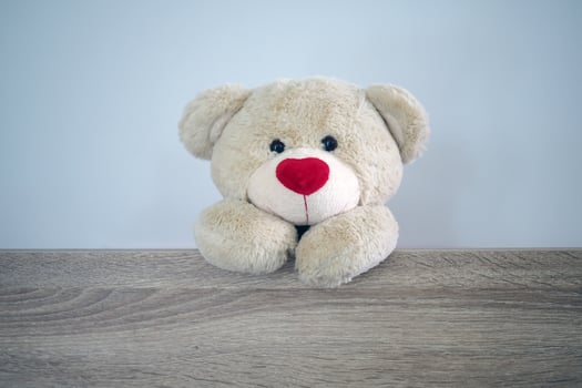 Background for kids play Teddy bear. Brown hair teddy bear standing behind the wood. Children's play concept photo