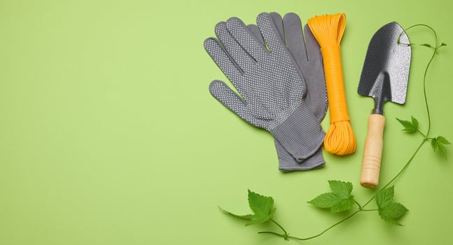 Garden tools for processing beds in the garden and textile gloves on a green background photo