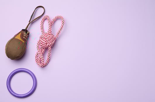 Textile toy, rope for playing with animals on a purple background, top view. photo