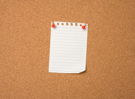 blank sheet of paper pinned by button on brown cork board photo