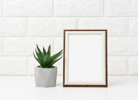 empty white wooden photo frame and flowerpots with plants on white table