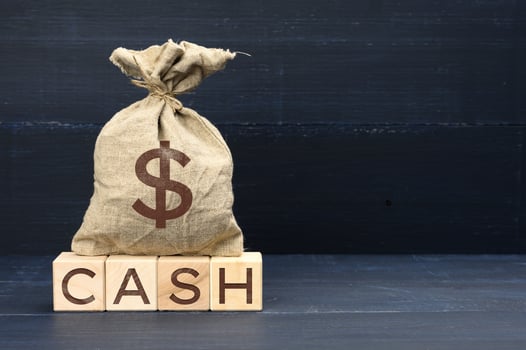 brown full canvas bag with dollar symbol and wooden cubes with the inscription cash photo