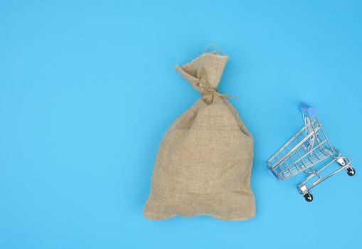 brown bag in a miniature little shopping cart on a blue background. Wealth photo