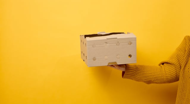 female hands are holding an empty open box of brown cardboard, yellow background, photo