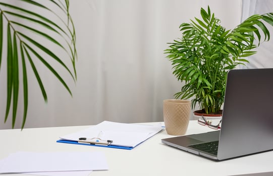 White table with laptop and pots with plants, freelance workplace photo