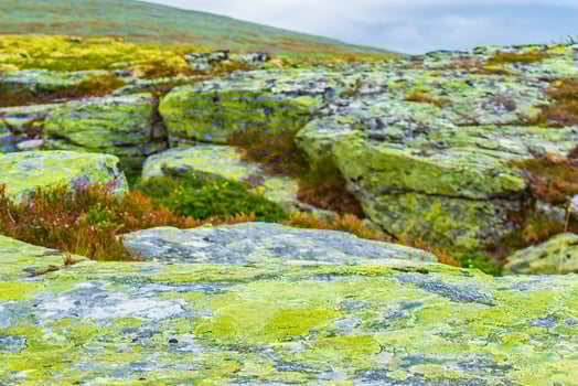 Gorge rocks cliff and waterfall river Rondane National Park Norway. photo