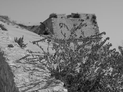 ibiza island in spain photo