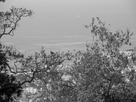 the island of madeira photo